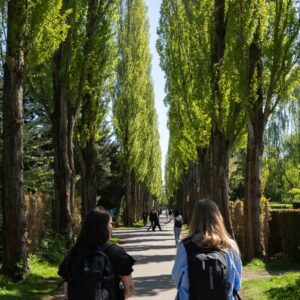 Seje Sild på Assistens Kirkegård med Fruentimmerture