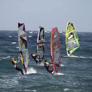 Windsurfing med Frozen Palm Tree